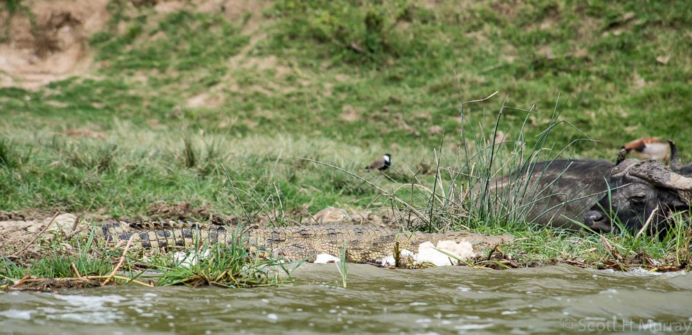 DSC_7687.jpg