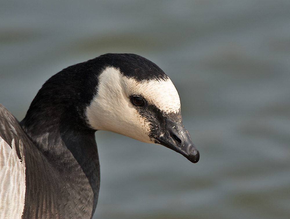 DSC_7688.jpg