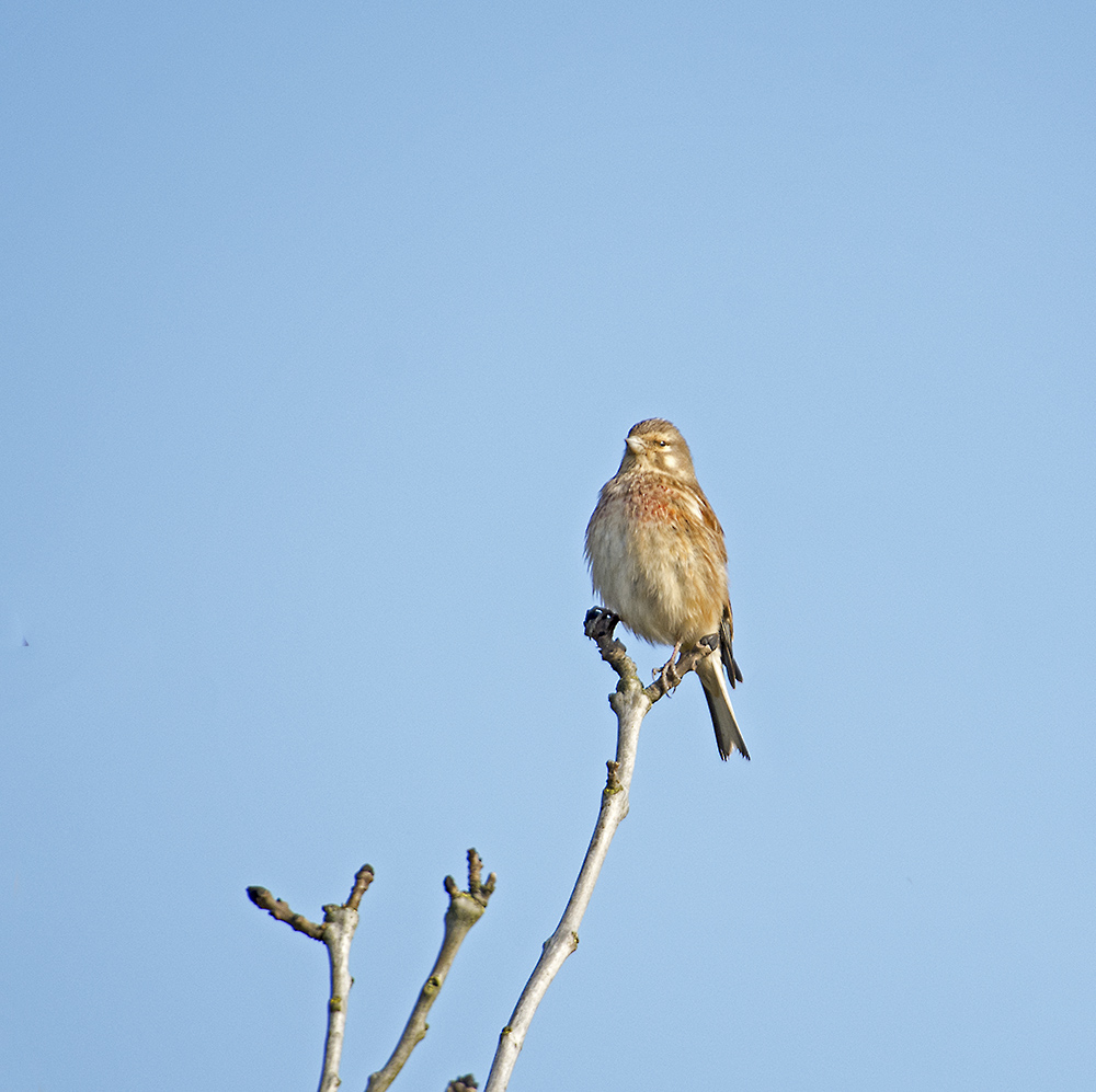 DSC_7688.jpg