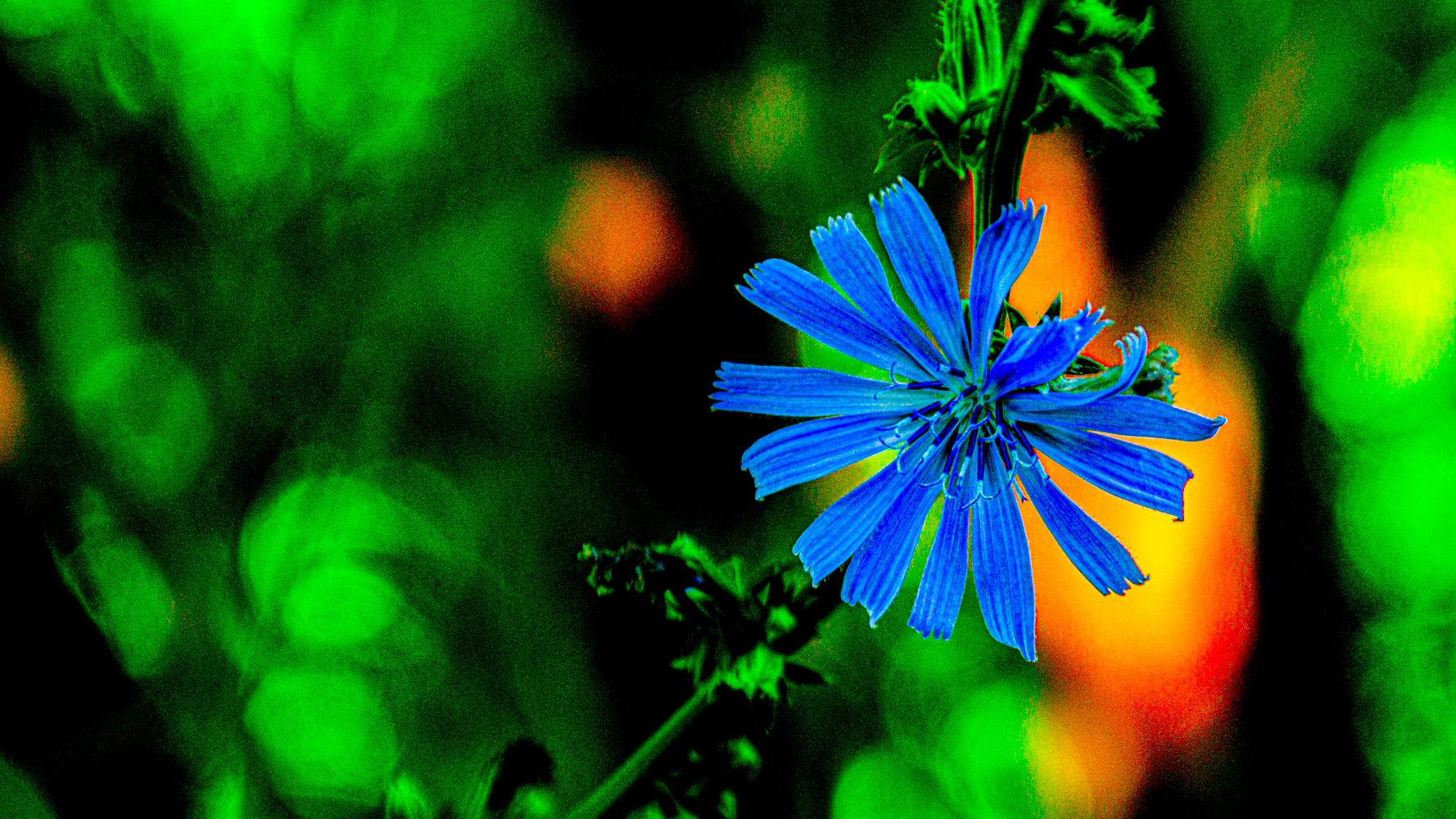 DSC_7689-Edit.jpg
