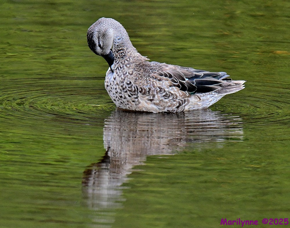 DSC_7690_001.JPG