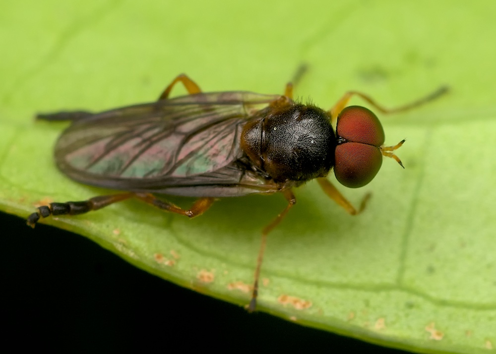 DSC_7697.jpg