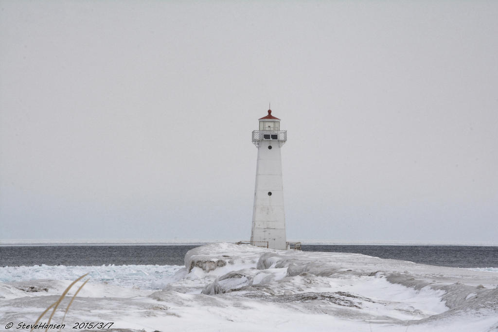 DSC_7698.jpg