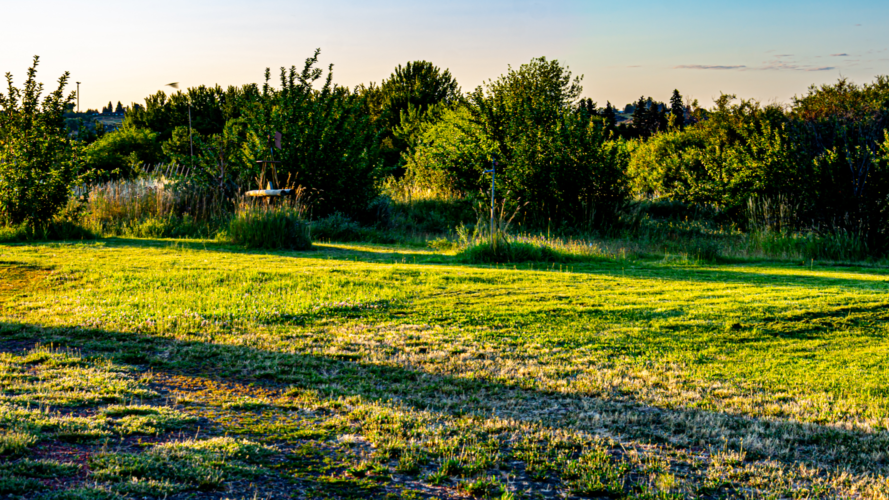 DSC_7698.jpg
