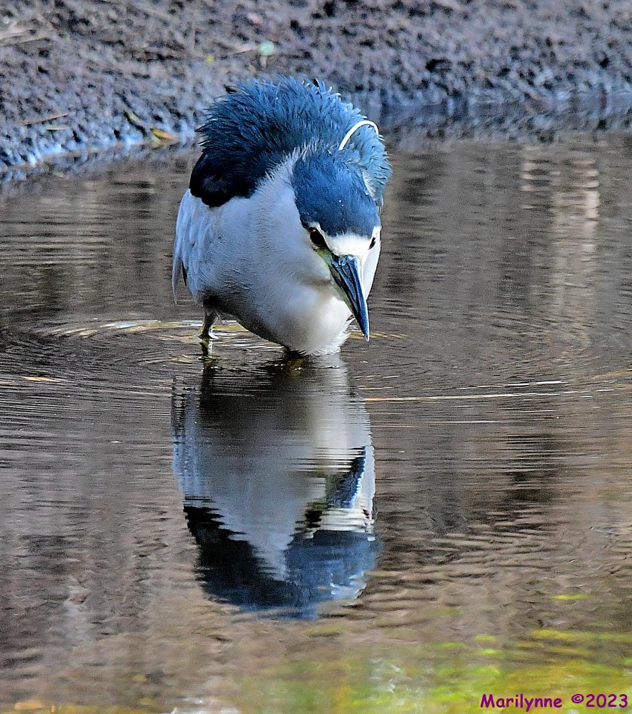 DSC_7705_001.JPG