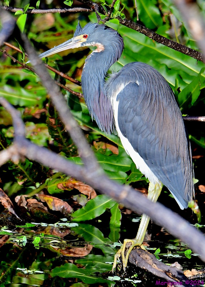 DSC_7710_001.JPG