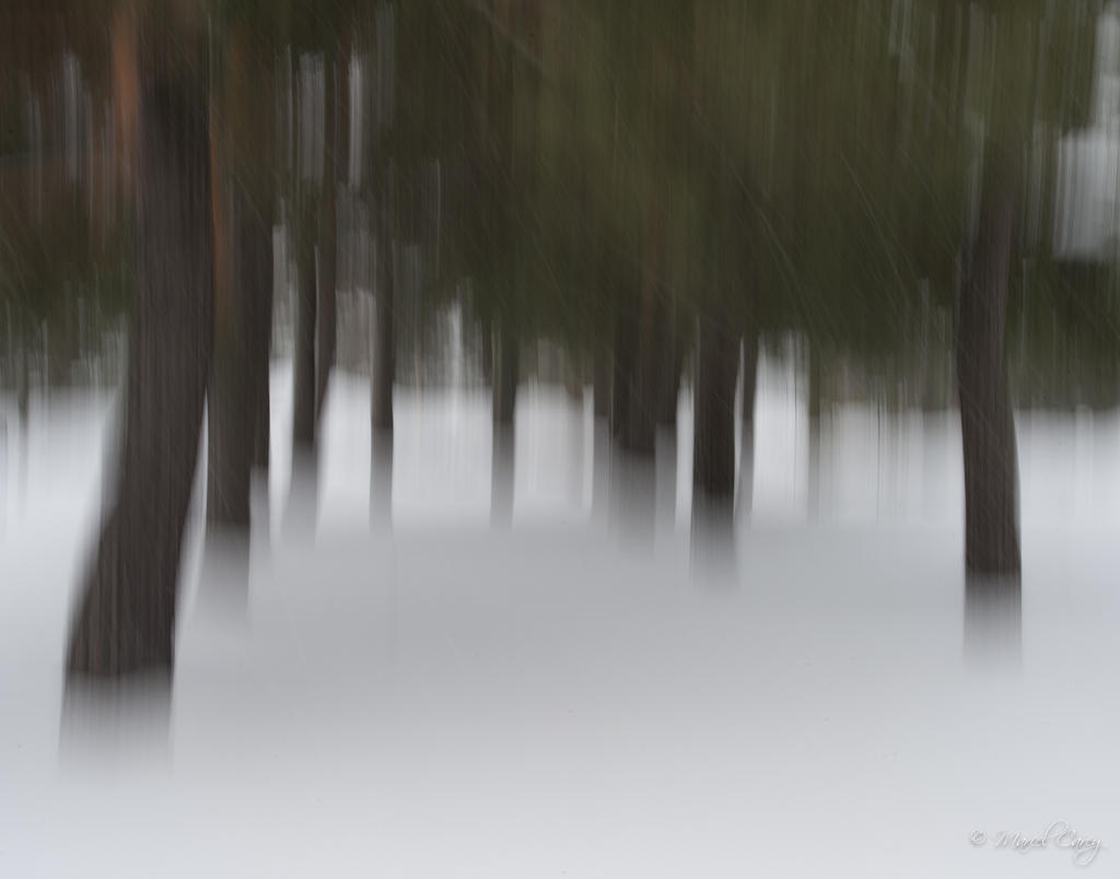 DSC_7711.jpg