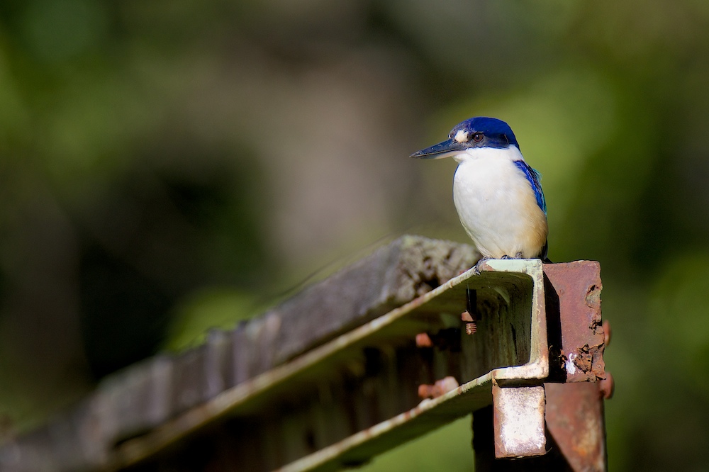 DSC_7722.jpg