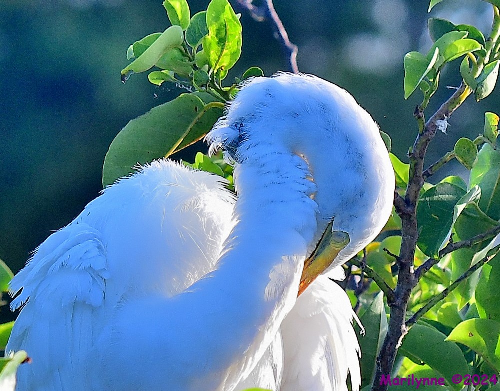 DSC_7722_001.JPG