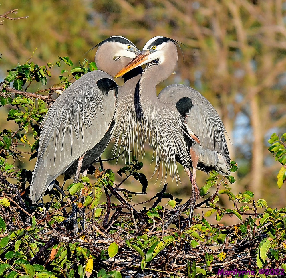 DSC_7726_001.JPG