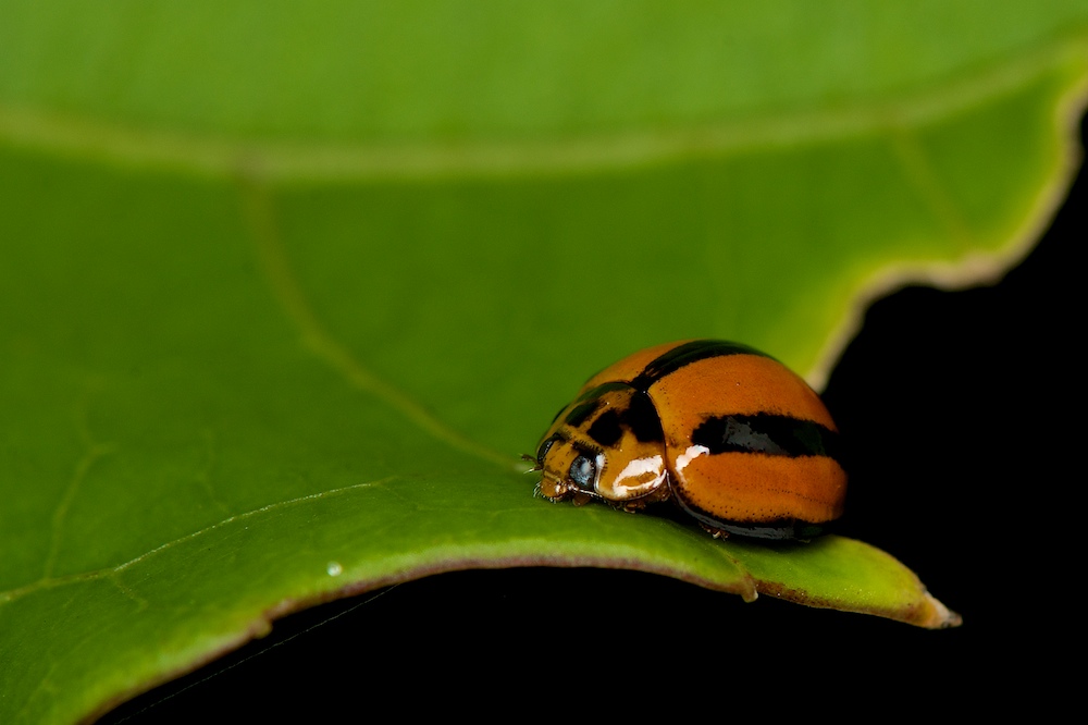 DSC_7727.jpg