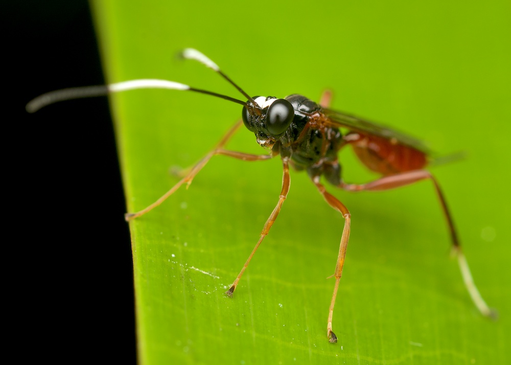 DSC_7728.jpg