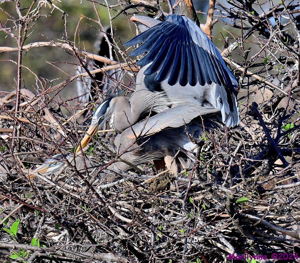 DSC_7728_001.JPG