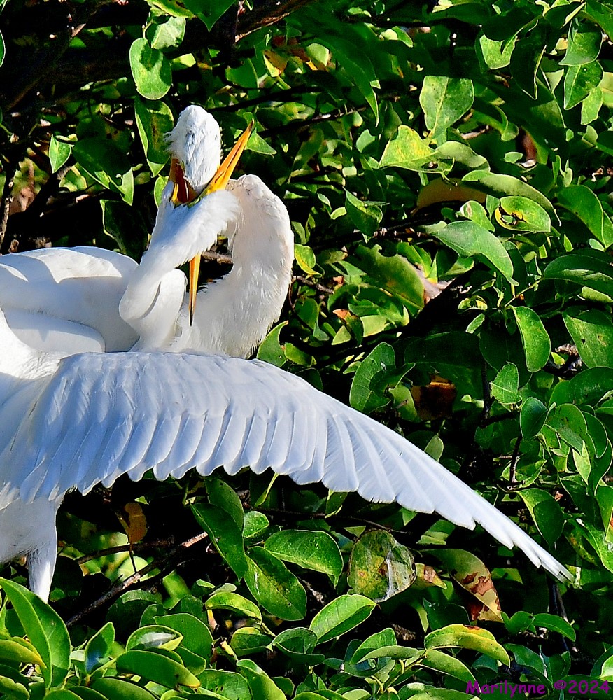 DSC_7731_001.JPG