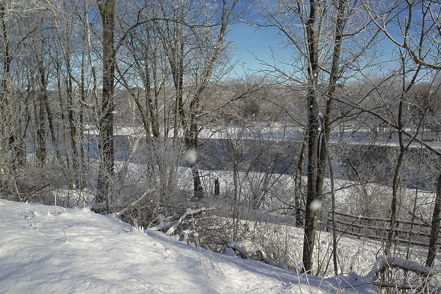 DSC_7733 colour.jpg