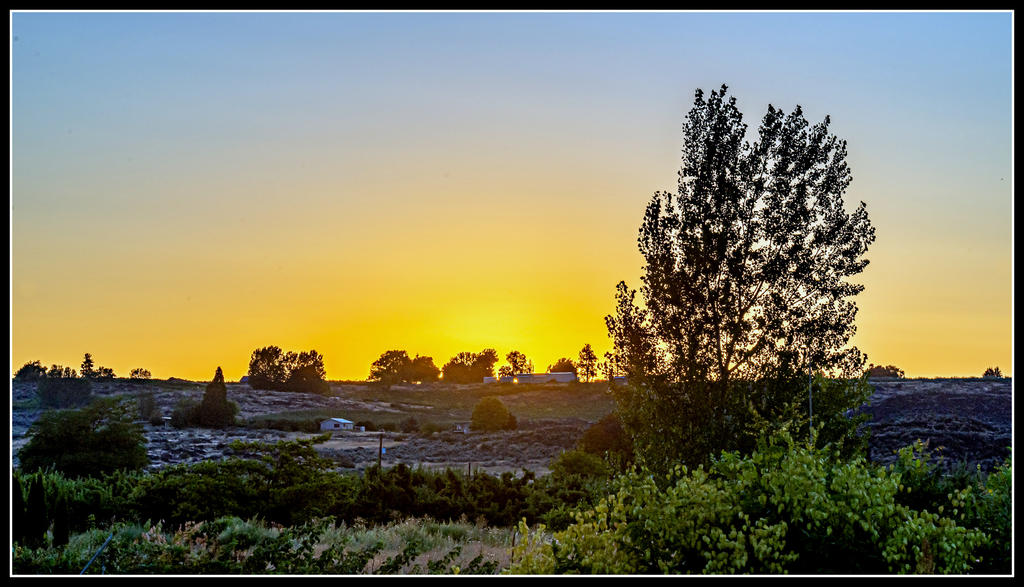 DSC_7736-HDR.jpg