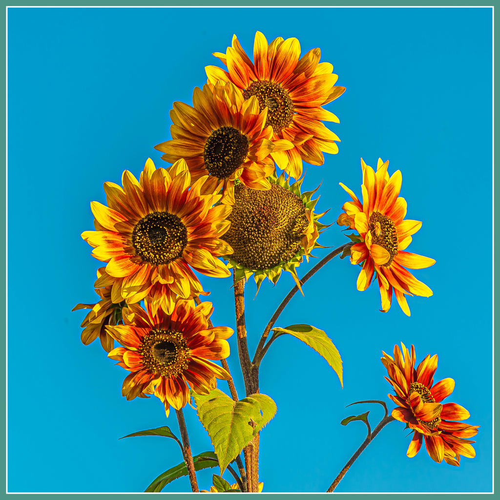 DSC_7754-HDR.jpg