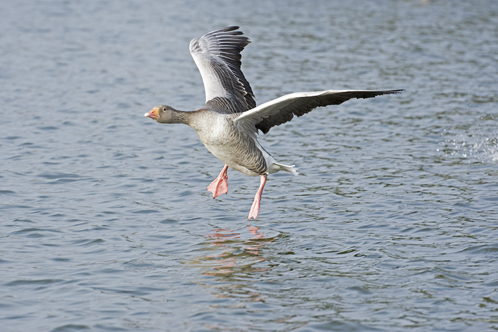 DSC_7756.jpg