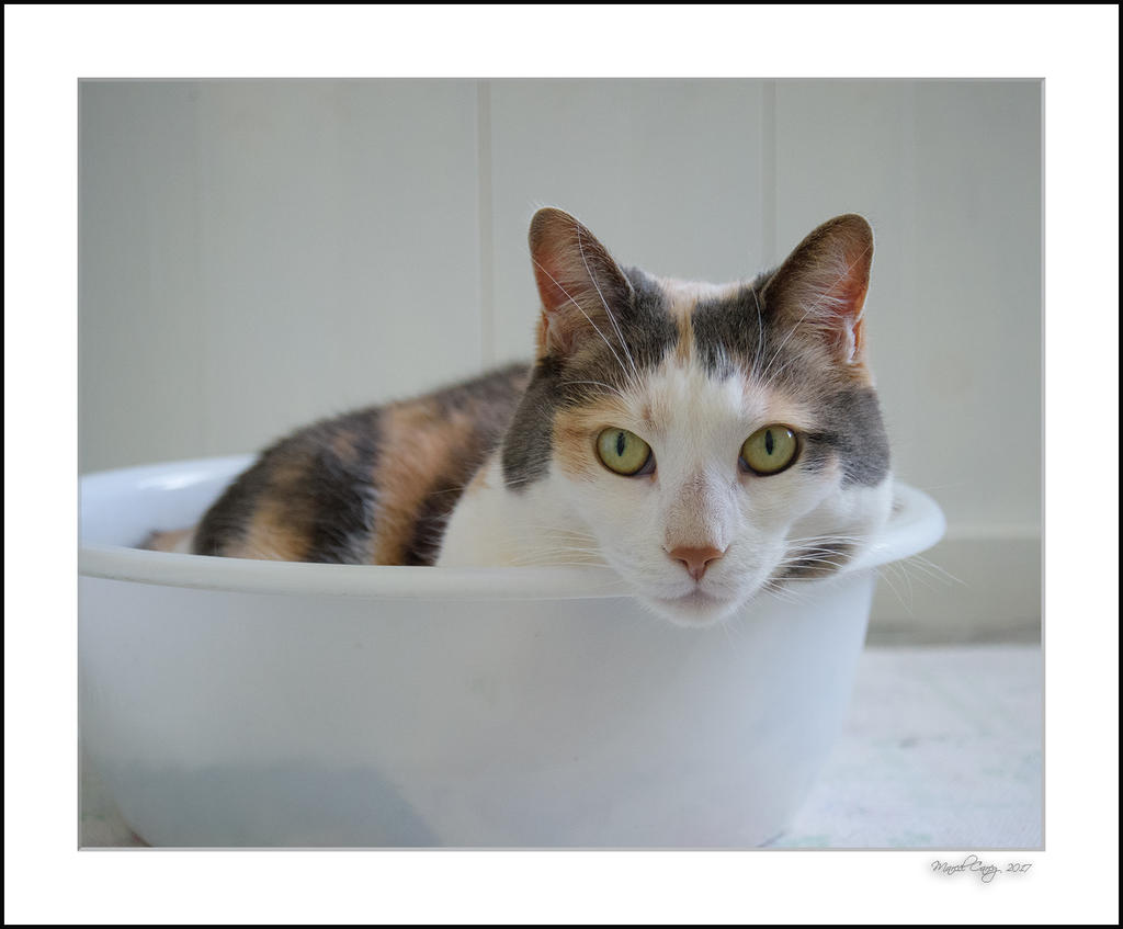DSC_7756.jpg