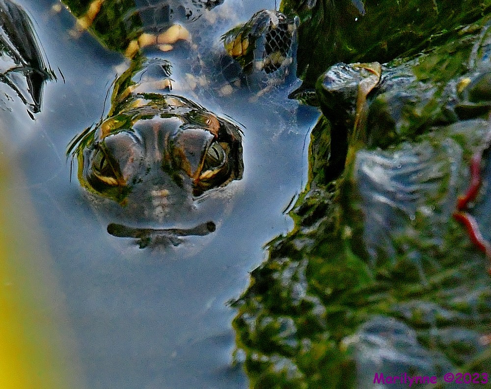 DSC_7757_001.JPG