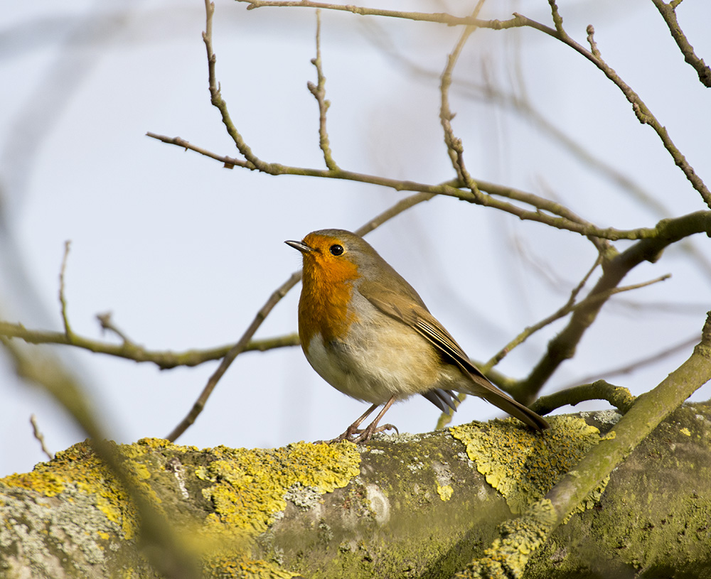 DSC_7766.jpg