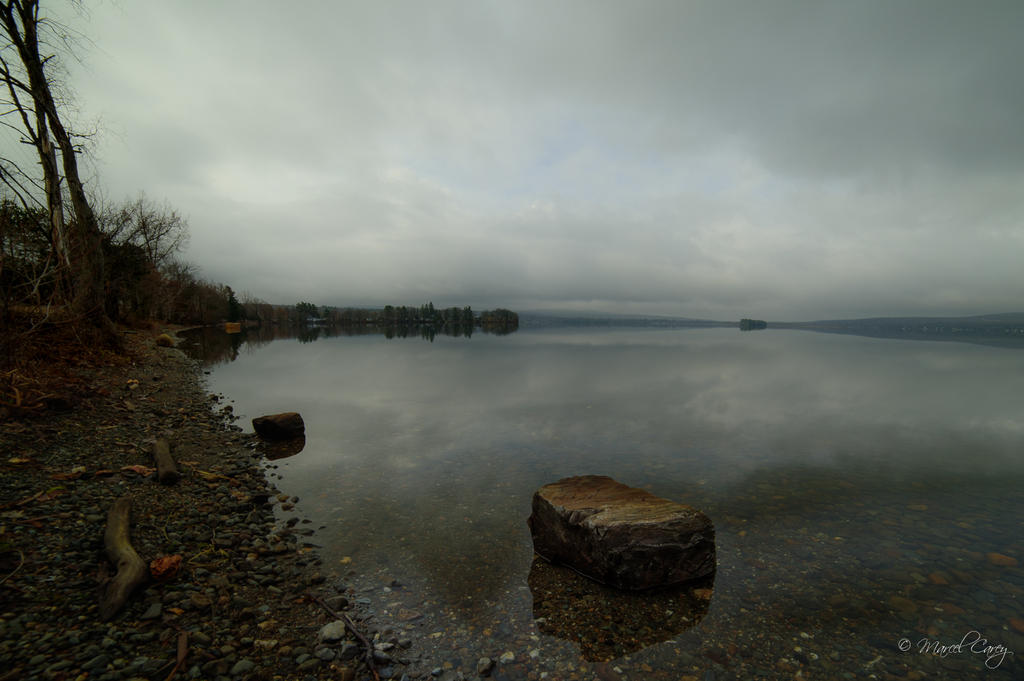 DSC_7766.jpg