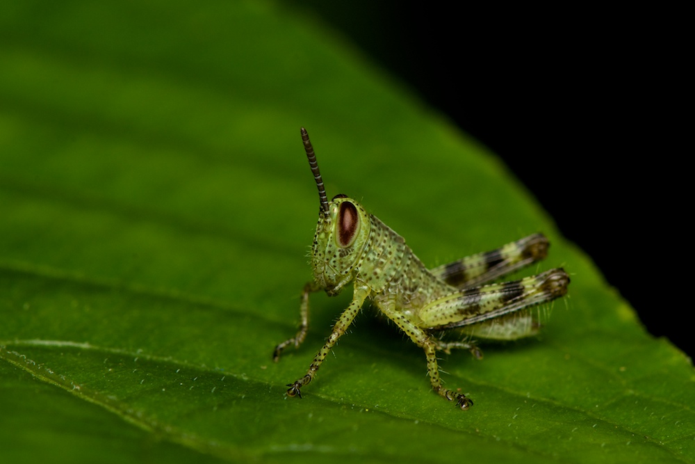 DSC_7772.jpg