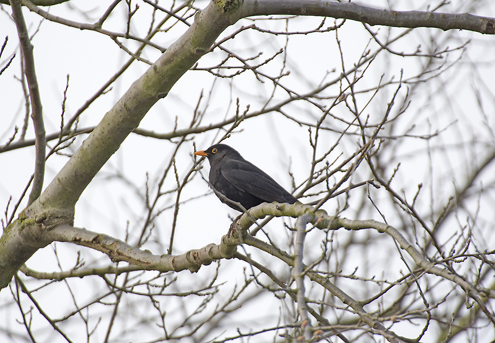 DSC_7778.jpg