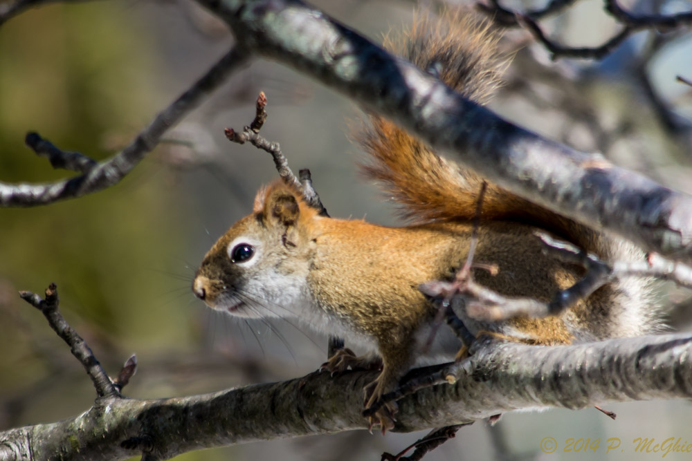 DSC_7783.jpg