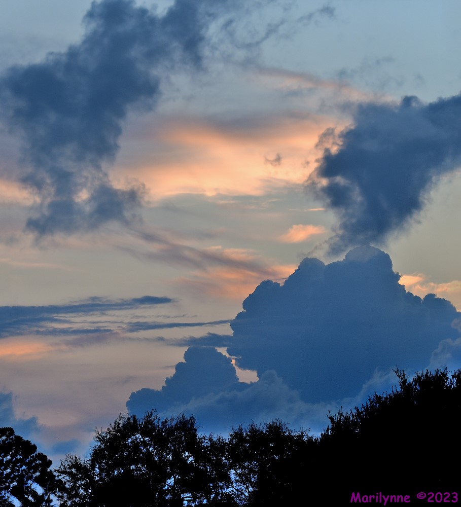 DSC_7784_stitch4_001.JPG