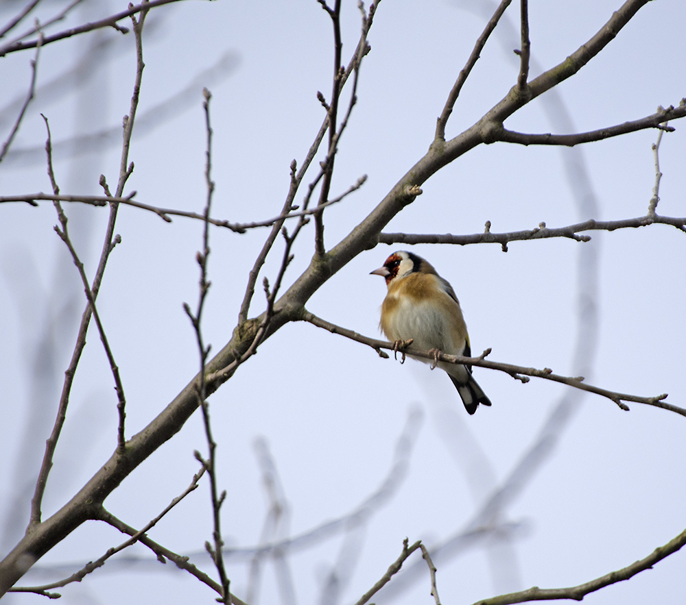 DSC_7791.jpg
