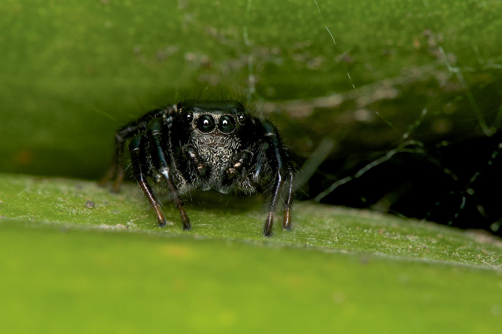 DSC_7796.jpg
