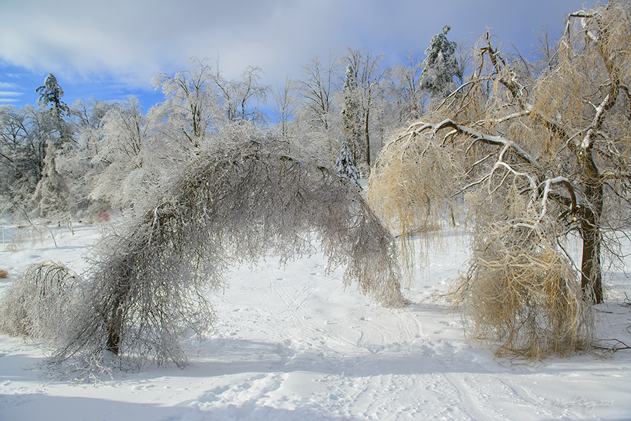 DSC_7802.jpg