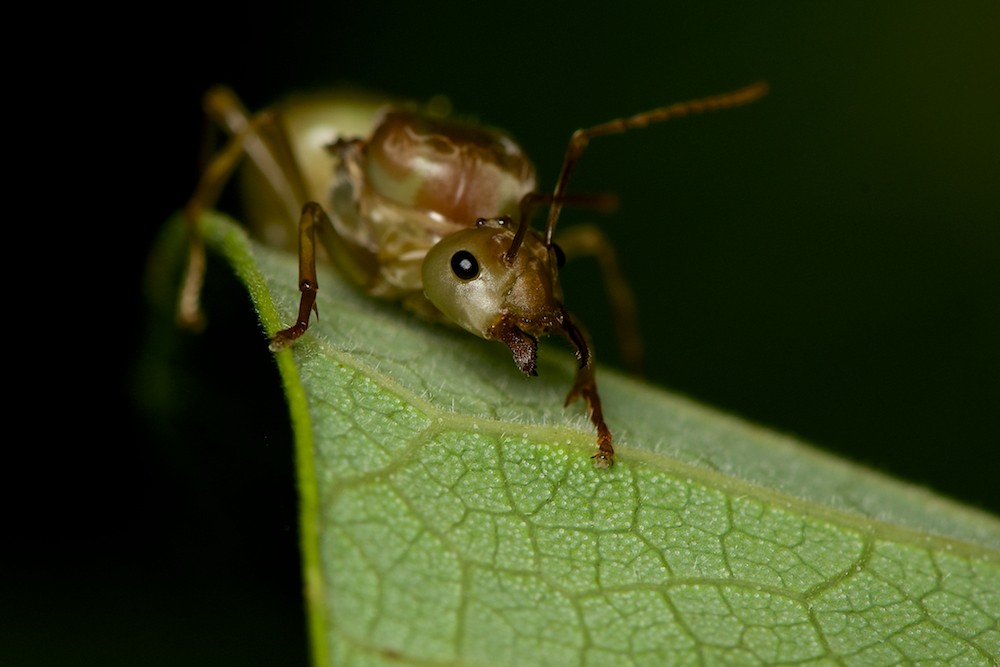 DSC_7804.jpg