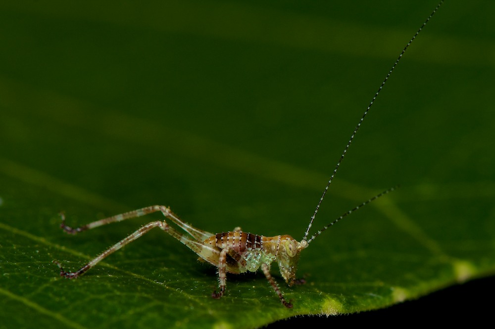 DSC_7806.jpg