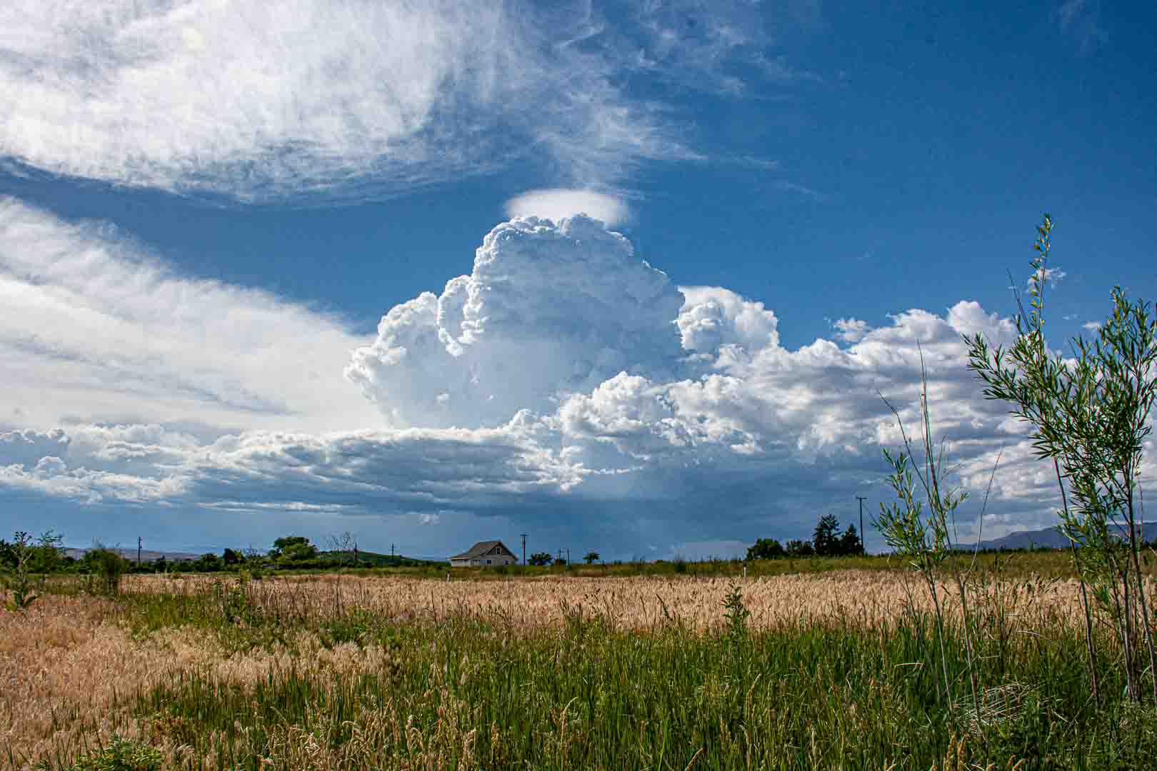 DSC_7807.jpg