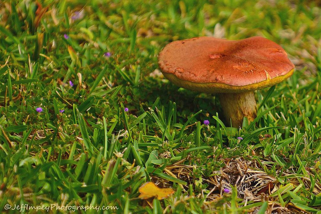 DSC_7807.jpg
