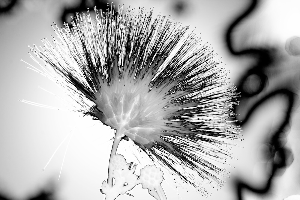 DSC_7808 - Version 2.jpg