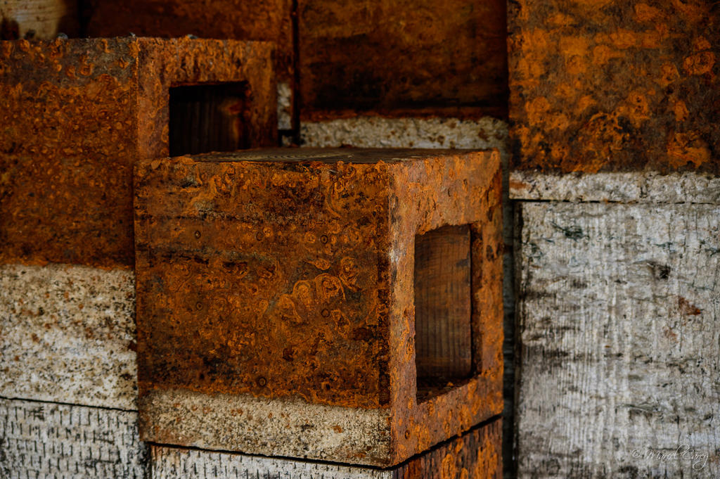 DSC_7820.jpg