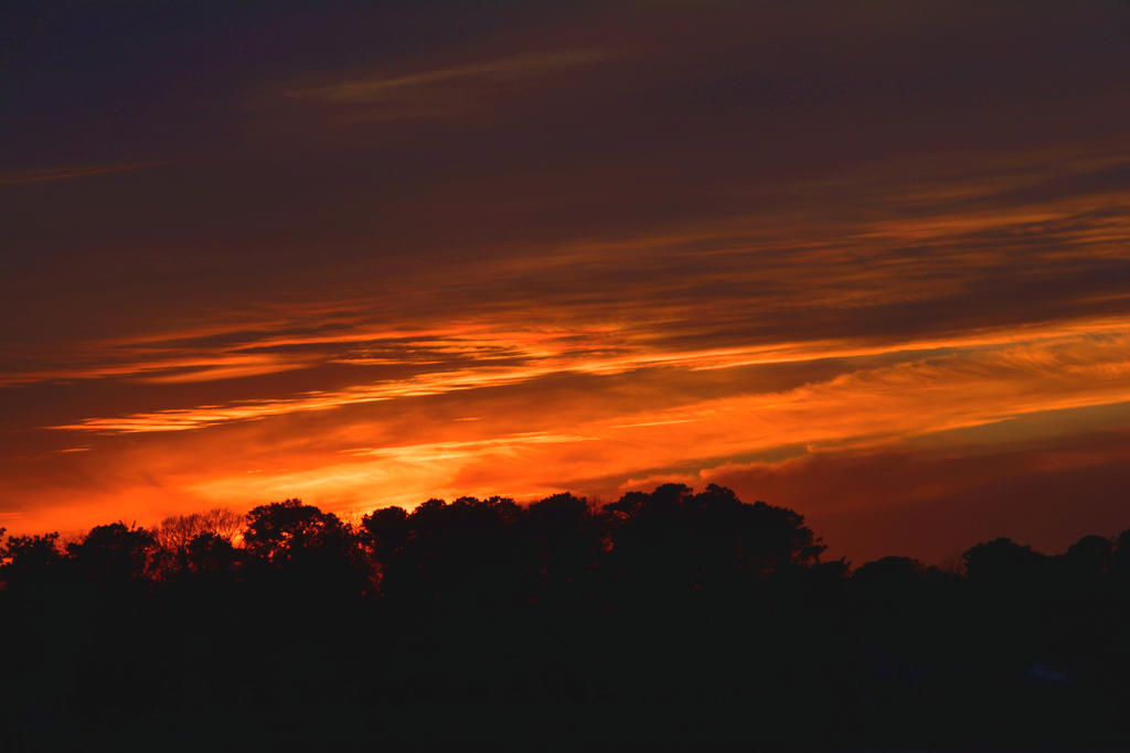 DSC_7823.jpg