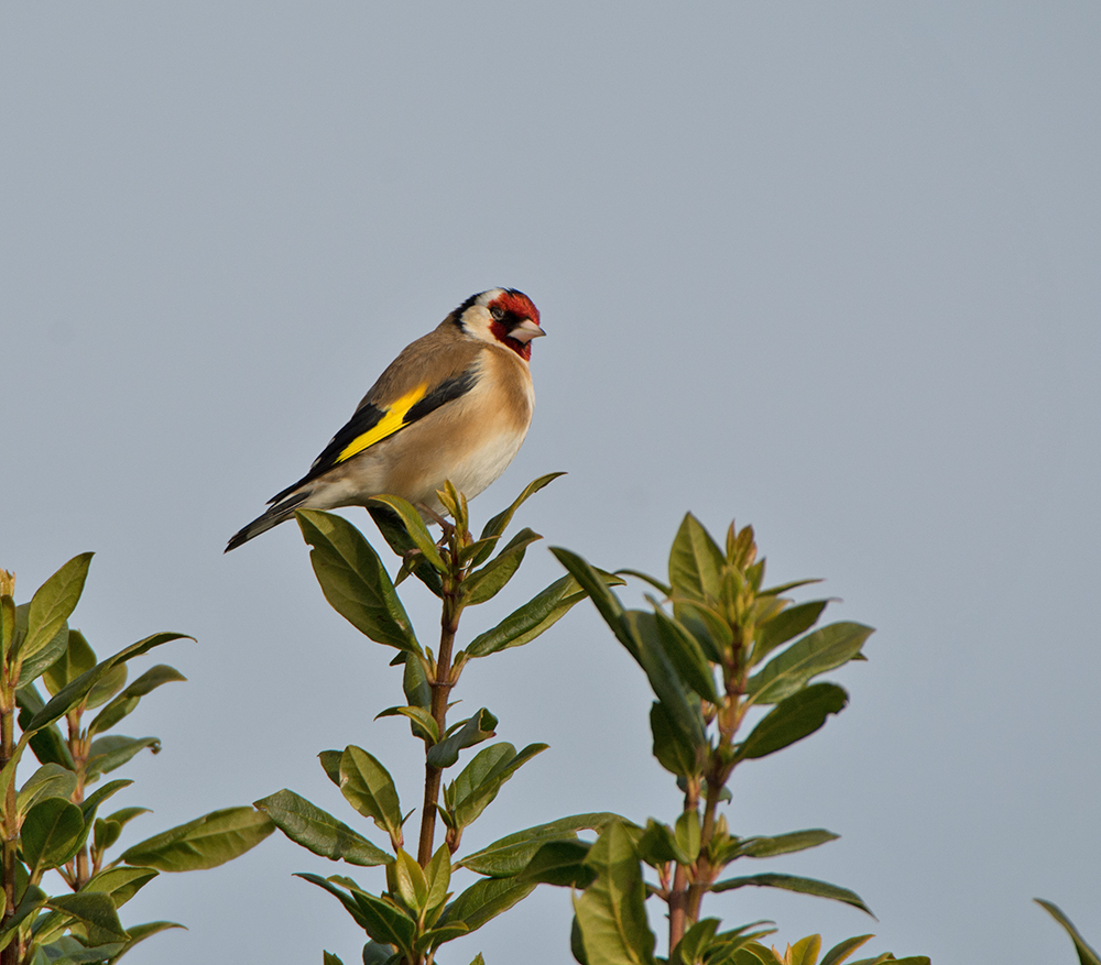 DSC_7824.jpg