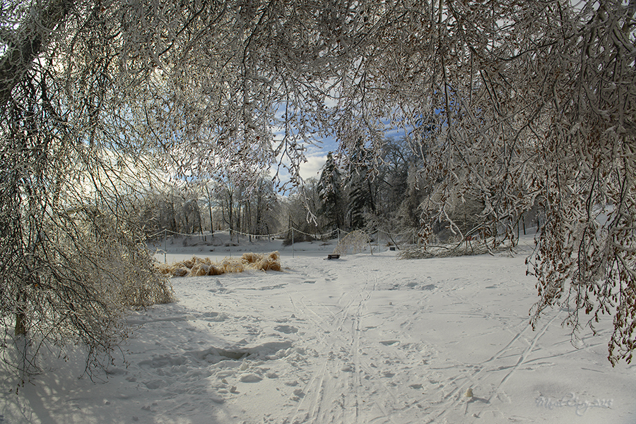 DSC_7825.jpg