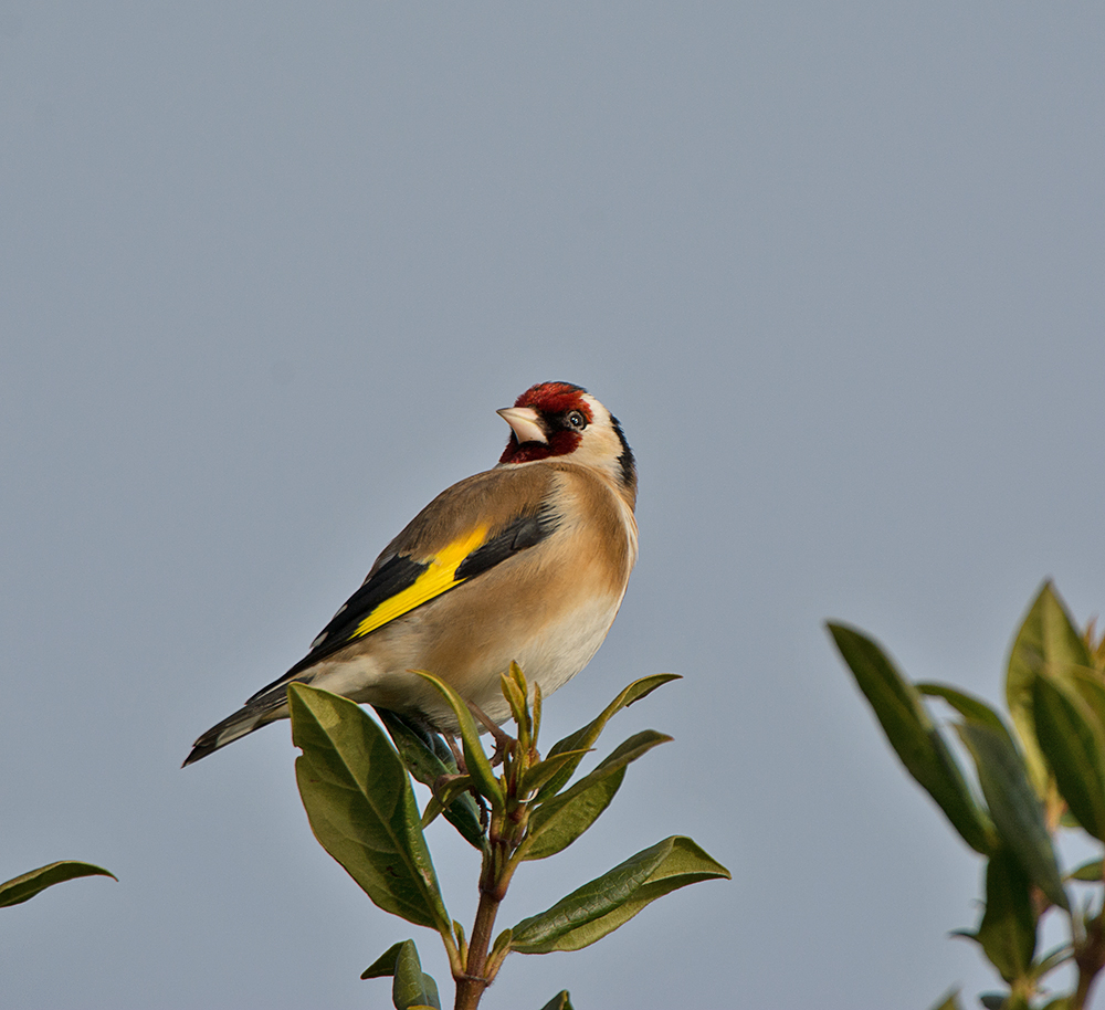 DSC_7828.jpg