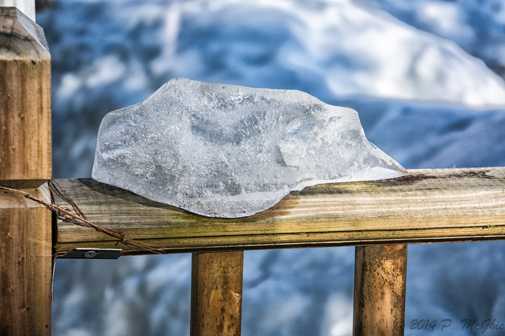 DSC_7830-Edit.jpg