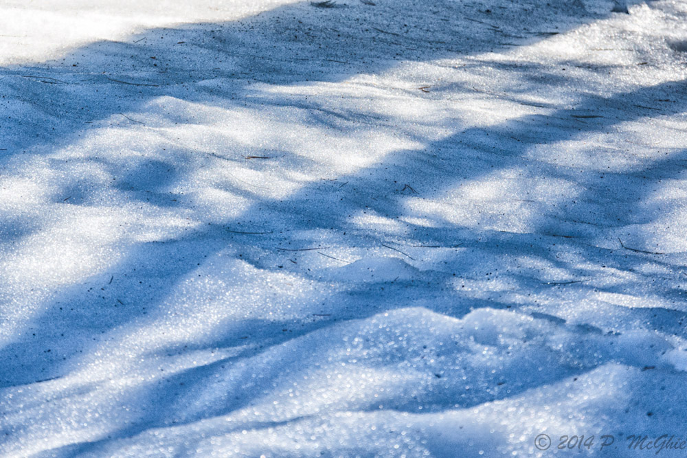 DSC_7831-Edit.jpg