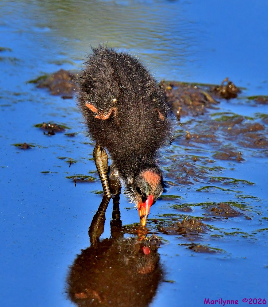 DSC_7837_001.JPG