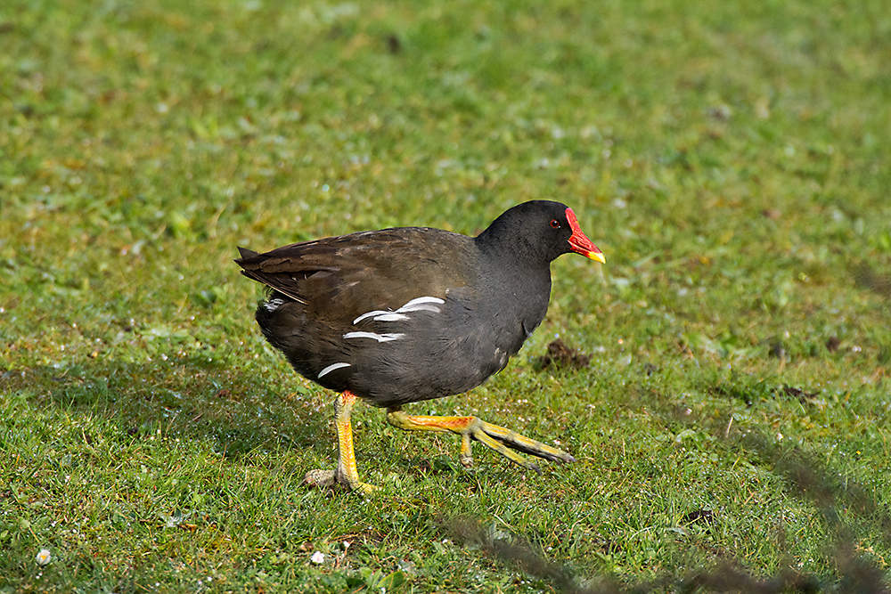 DSC_7838.jpg