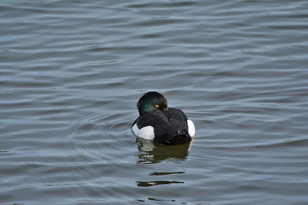 DSC_7843.jpg