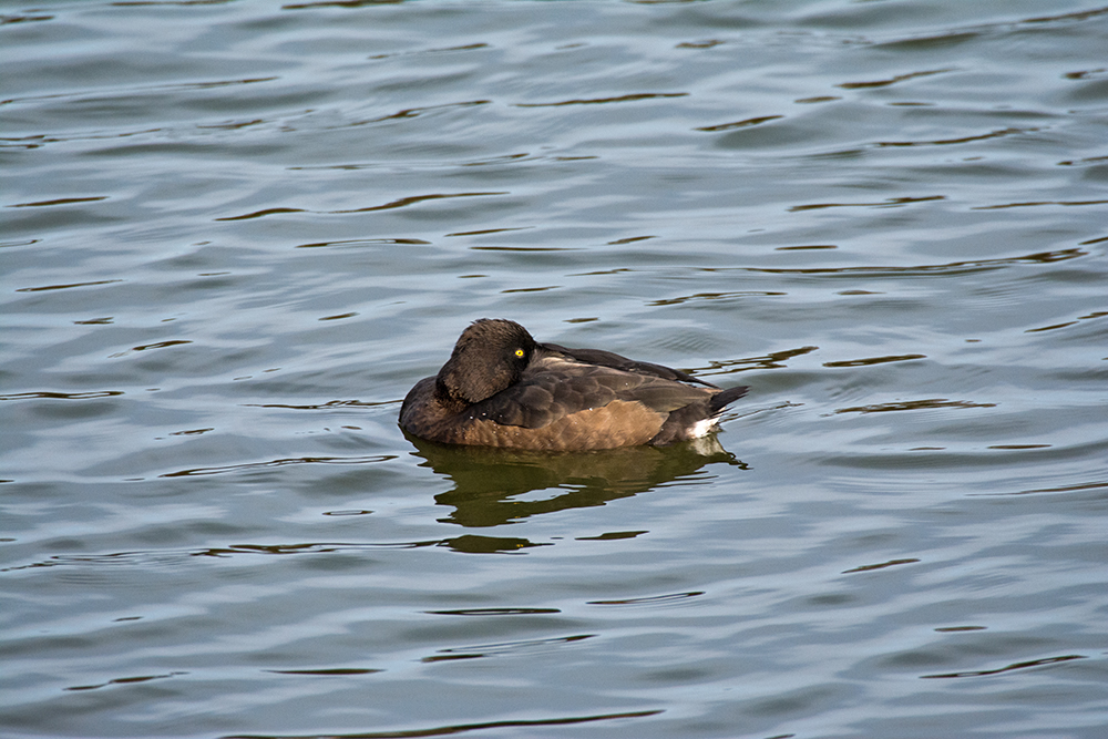 DSC_7845.jpg