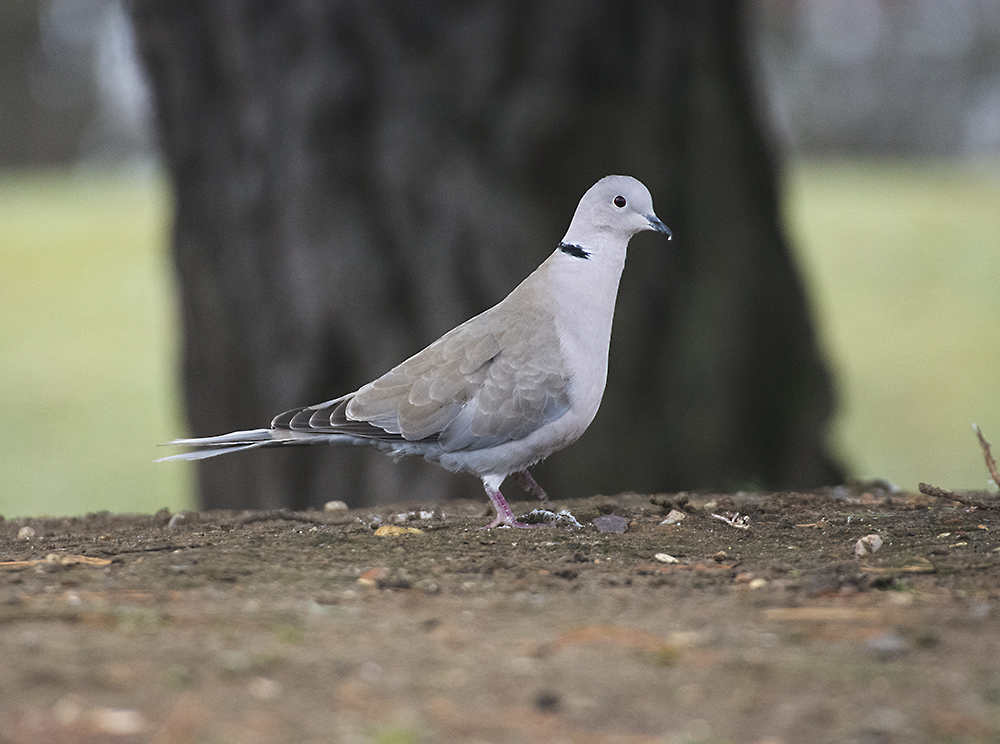 DSC_7846.jpg
